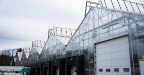 Dual Atrium greenhouses installed over loading docks at Pleasant View Gardens, NJ