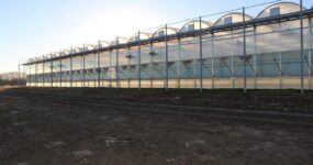 Large production range of Poly Arch greenhouses at Red Oak