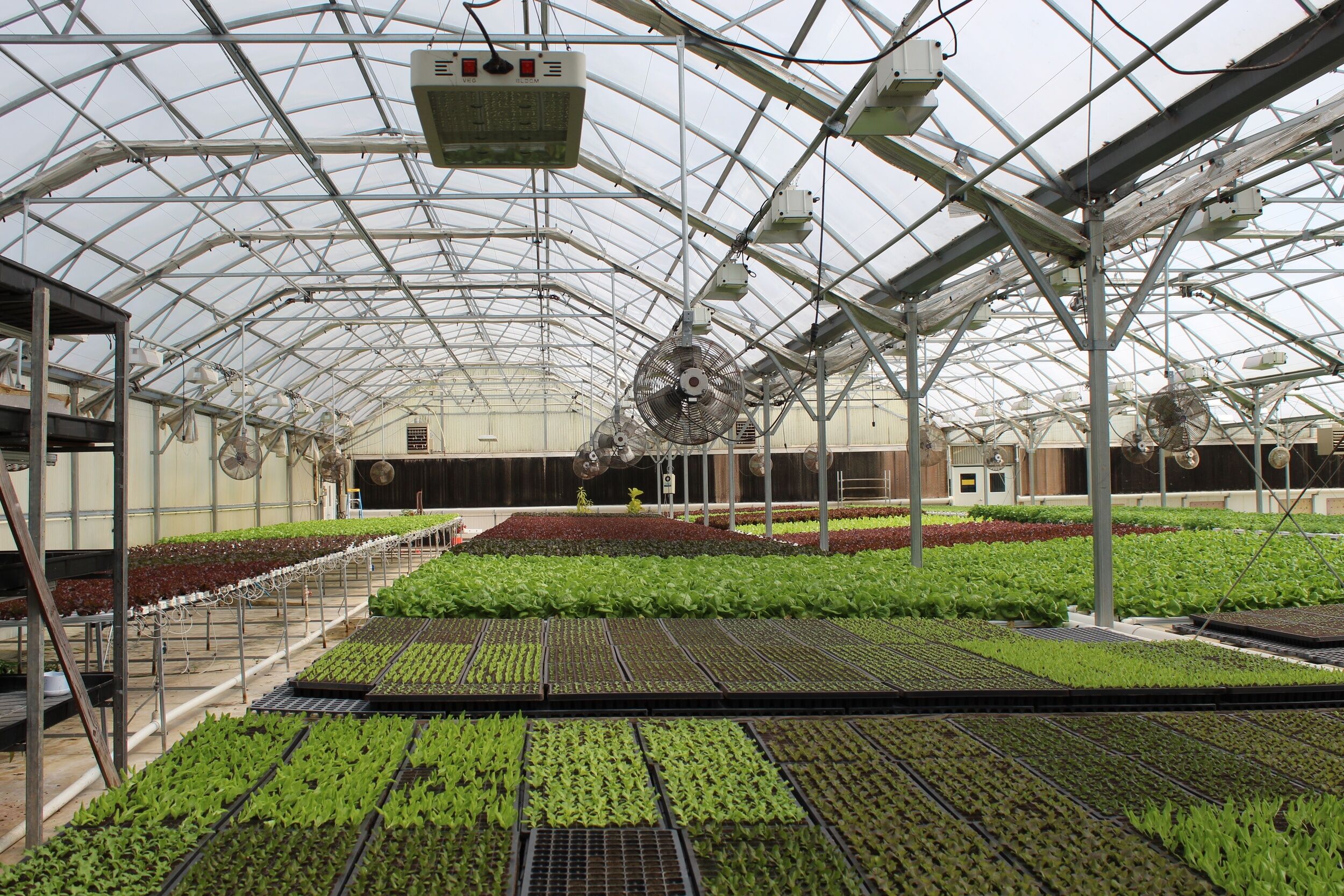 Commercial Greenhouses: The Grand Teton Greenhouse