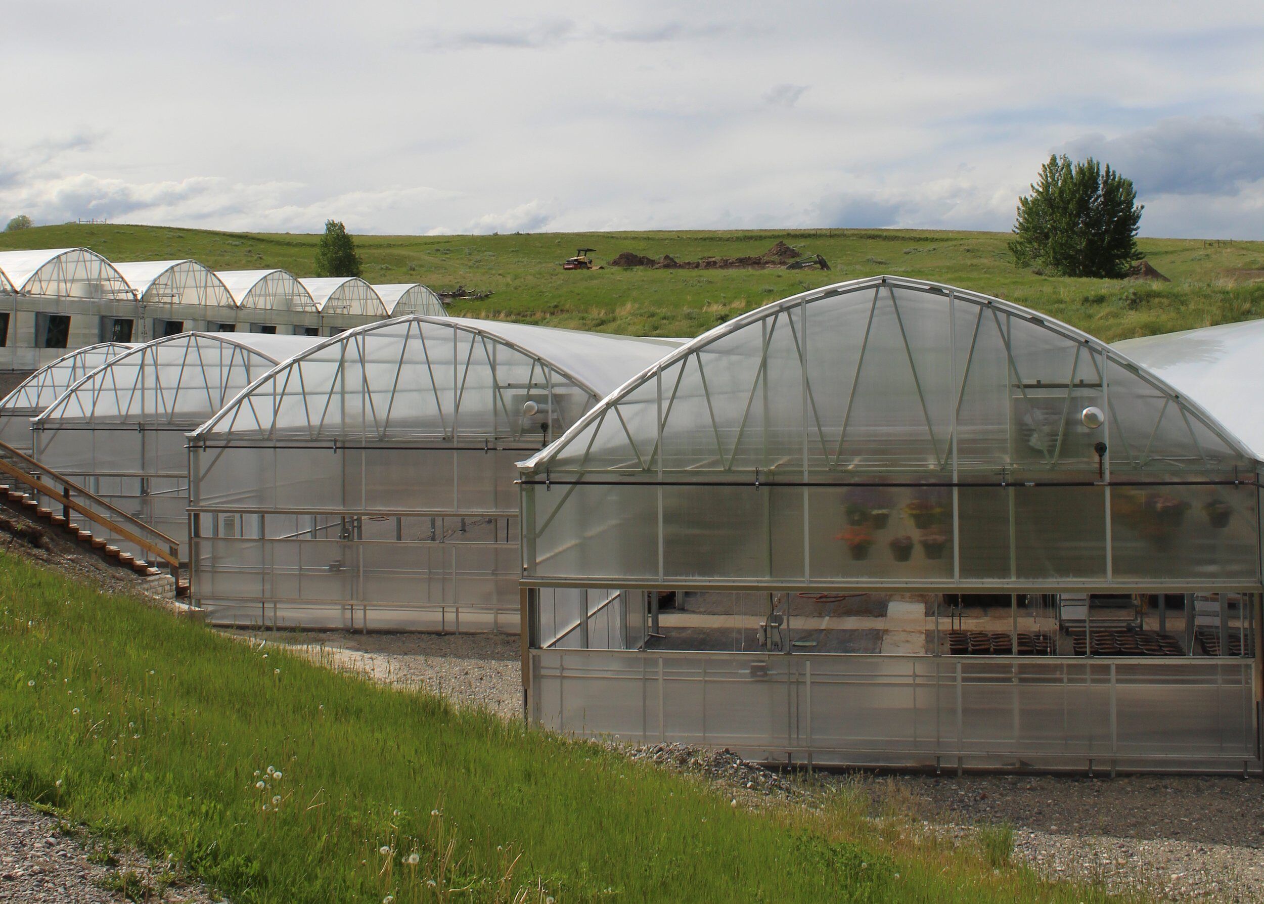 ①サウナテントQuadrangular Greenhouse 81gTBFnnIuL._UF350,350_QL50_.jpg