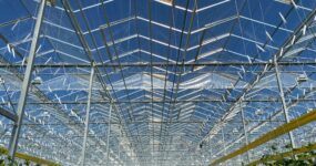 Glass Venlo greenhouse with visible peaks and skip vents to keep crops cool and air moving.