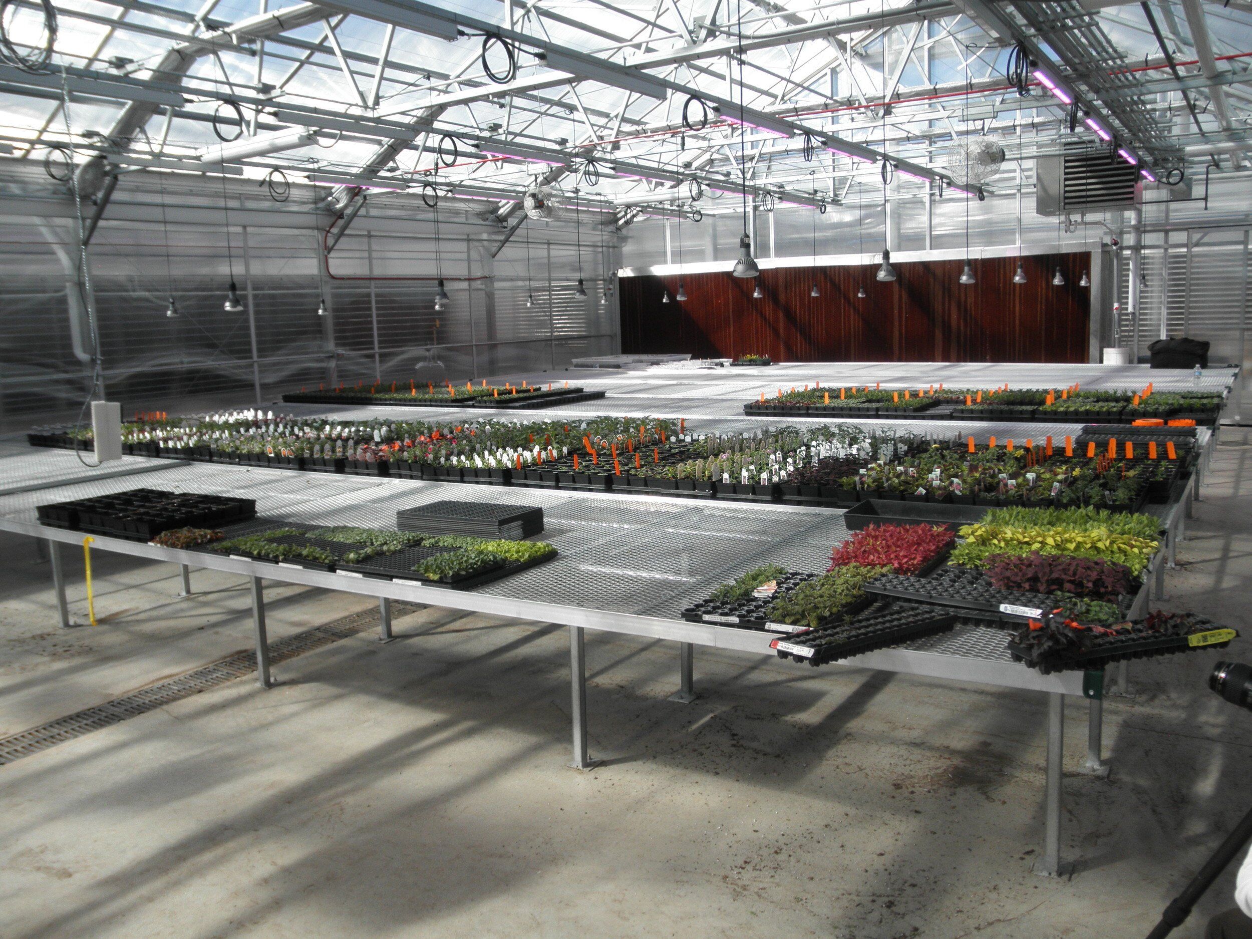 Bench for Greenhouse | Greenhouse Benching Systems \u0026 Tables, image size:2500x1875